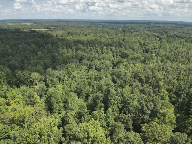 1338 New Hope Rd, Decaturville, TN 38329
