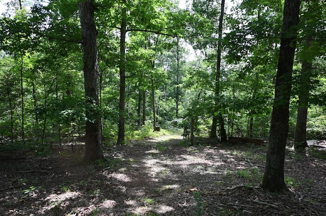 1338 New Hope Rd, Decaturville, TN 38329