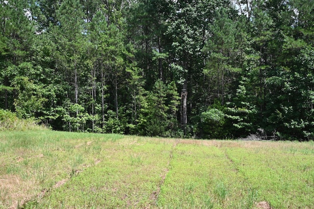 1338 New Hope Rd, Decaturville, TN 38329