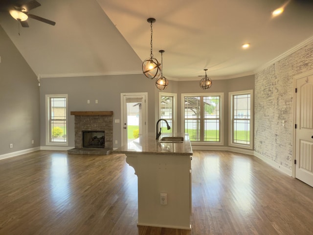 5120 Prickly Pine Pl, Murfreesboro, TN 37129 - kitchen featuring open floor plan, plenty of natural light, ornamental molding, a stone fireplace, and stone countertops