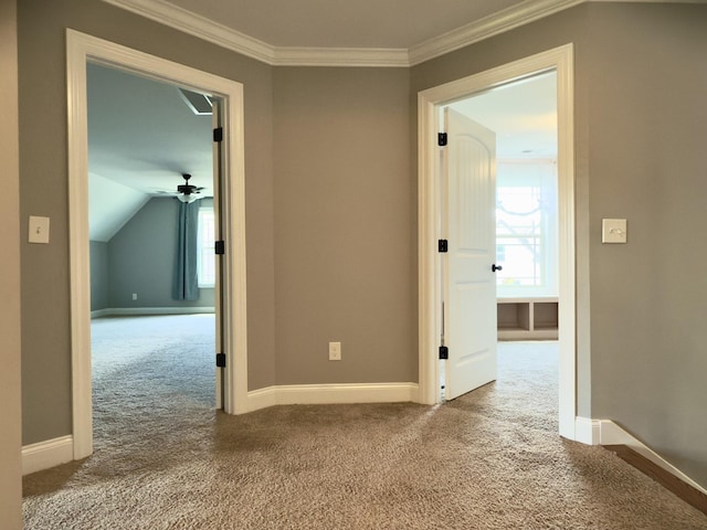5120 Prickly Pine Pl, Murfreesboro, TN 37129 - hall featuring carpet flooring and ornamental molding