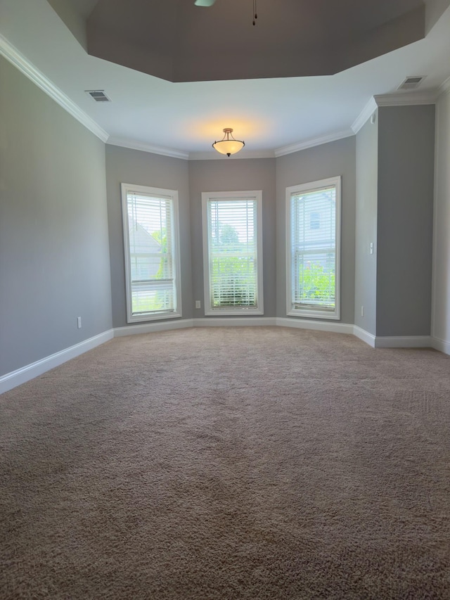 5120 Prickly Pine Pl, Murfreesboro, TN 37129 - empty room featuring ornamental molding and light colored carpet