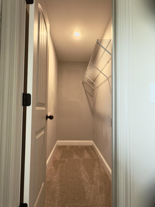 5120 Prickly Pine Pl, Murfreesboro, TN 37129 - spacious closet with carpet flooring