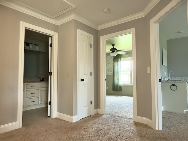 5120 Prickly Pine Pl, Murfreesboro, TN 37129 - hall with carpet and crown molding