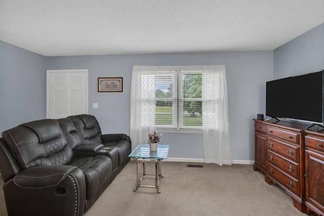 3521 Sulphur Springs Rd, Murfreesboro, TN 37129 - photo 4