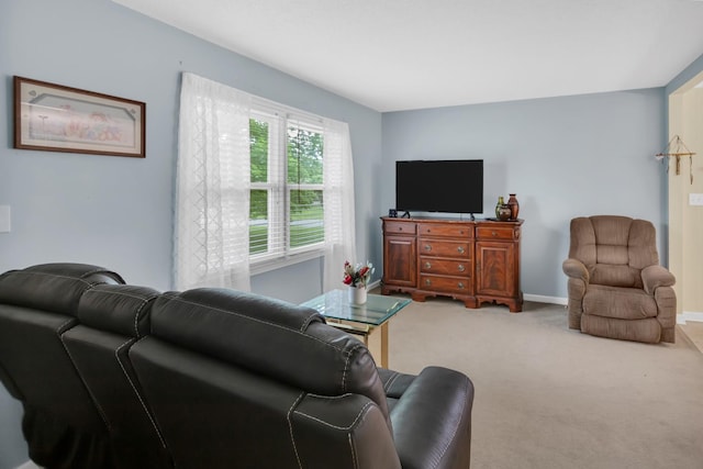 3521 Sulphur Springs Rd, Murfreesboro, TN 37129 - photo 6