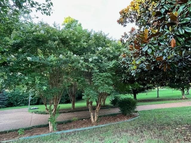 1408 Ridley Dr, Franklin, TN 37064 - photo 42