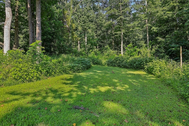 5025 Ridge Hill Dr, Joelton, TN 37080 - photo 24