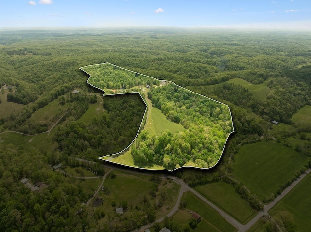 4325 Cave Springs Rd, Columbia, TN 38401 - photo 2