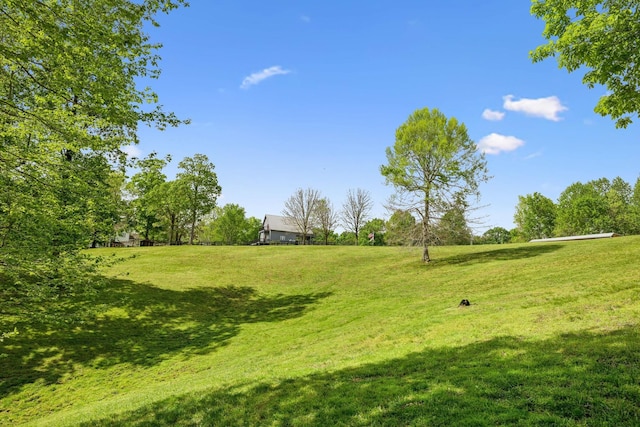 4325 Cave Springs Rd, Columbia, TN 38401 - photo 94