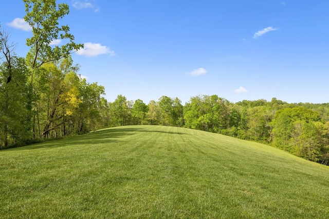 4325 Cave Springs Rd, Columbia, TN 38401 - photo 92