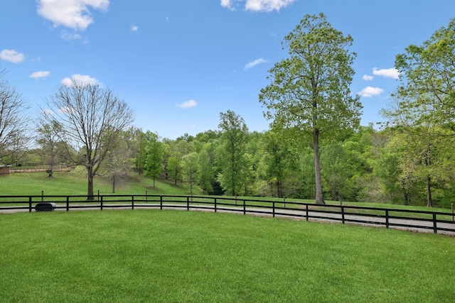 4325 Cave Springs Rd, Columbia, TN 38401 - photo 91