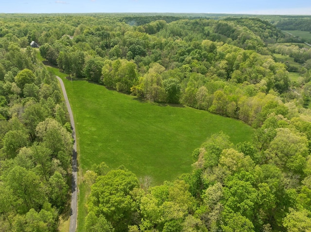 4325 Cave Springs Rd, Columbia, TN 38401 - photo 90