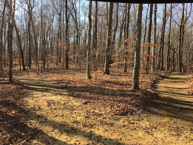 4325 Cave Springs Rd, Columbia, TN 38401 - photo 97