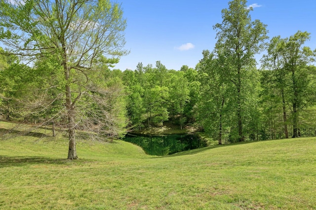 4325 Cave Springs Rd, Columbia, TN 38401 - photo 95