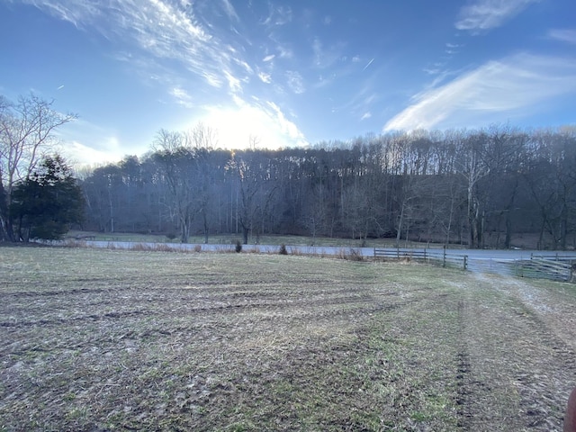1551 Buck Smith Rd, Palmyra, TN 37142