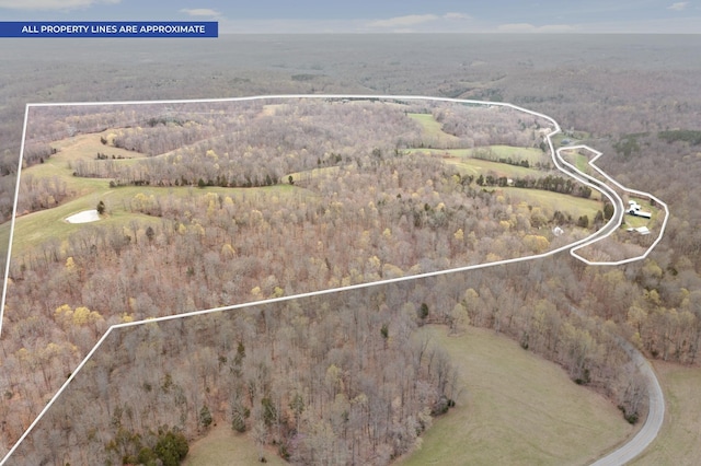 1551 Buck Smith Rd, Palmyra, TN 37142