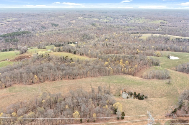 1551 Buck Smith Rd, Palmyra, TN 37142