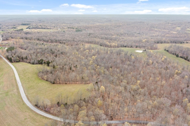 1551 Buck Smith Rd, Palmyra, TN 37142