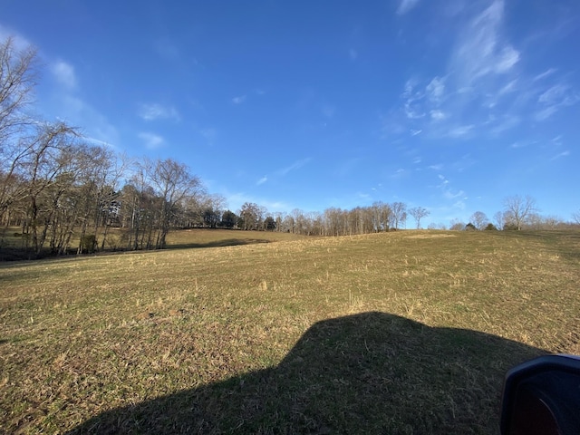 1551 Buck Smith Rd, Palmyra, TN 37142