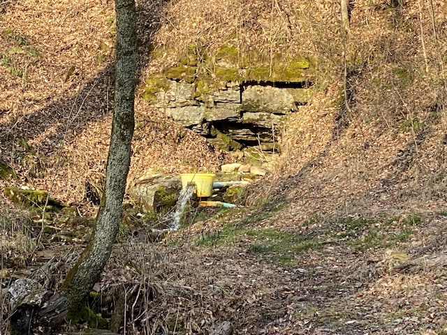 1551 Buck Smith Rd, Palmyra, TN 37142