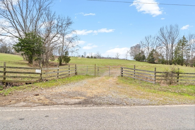 1551 Buck Smith Rd, Palmyra, TN 37142
