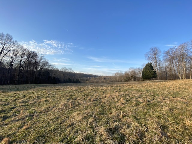 1551 Buck Smith Rd, Palmyra, TN 37142
