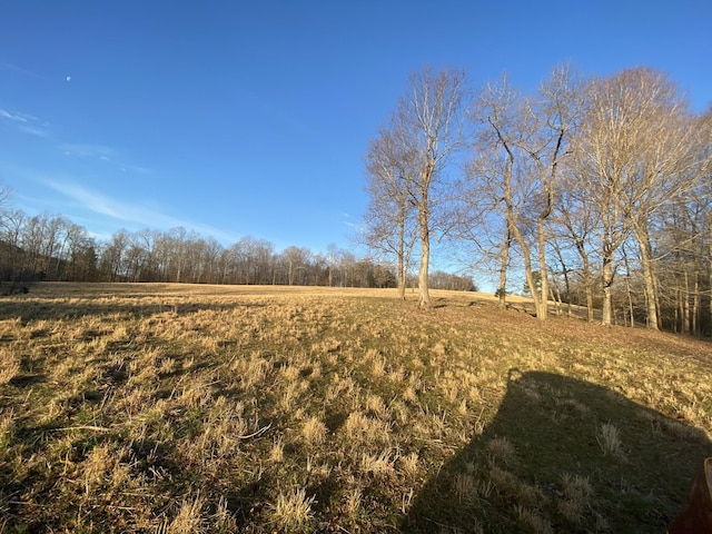 1551 Buck Smith Rd, Palmyra, TN 37142