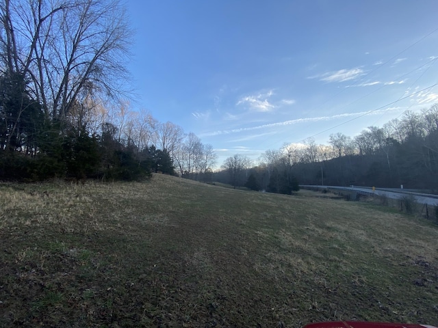 1551 Buck Smith Rd, Palmyra, TN 37142