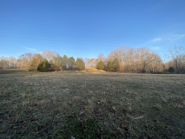 1551 Buck Smith Rd, Palmyra, TN 37142