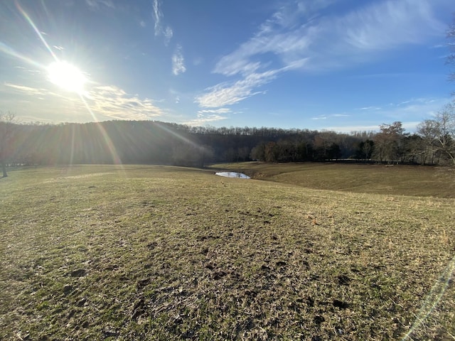 1551 Buck Smith Rd, Palmyra, TN 37142