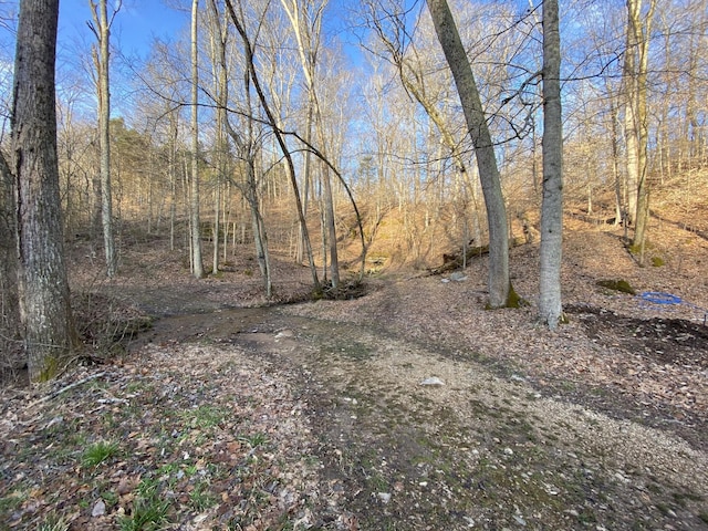 1551 Buck Smith Rd, Palmyra, TN 37142