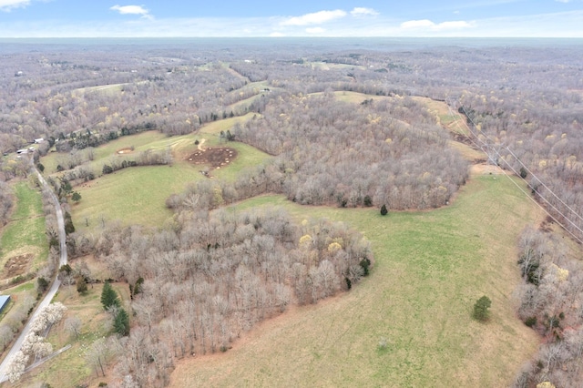 1551 Buck Smith Rd, Palmyra, TN 37142