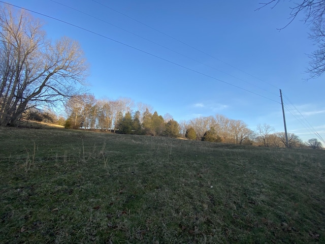 1551 Buck Smith Rd, Palmyra, TN 37142