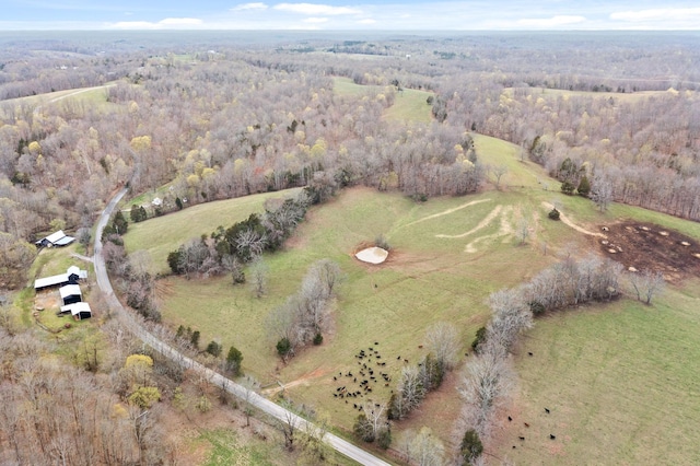 1551 Buck Smith Rd, Palmyra, TN 37142