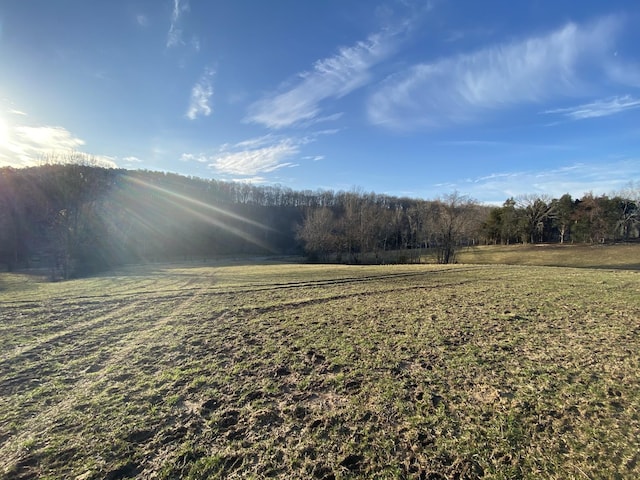 1551 Buck Smith Rd, Palmyra, TN 37142