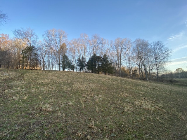 1551 Buck Smith Rd, Palmyra, TN 37142