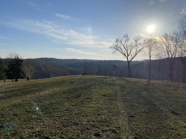 1551 Buck Smith Rd, Palmyra, TN 37142