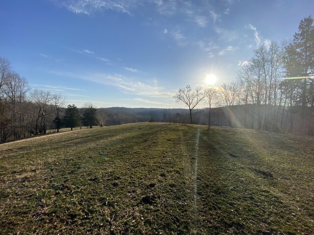 1551 Buck Smith Rd, Palmyra, TN 37142