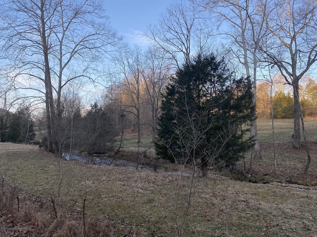 1551 Buck Smith Rd, Palmyra, TN 37142