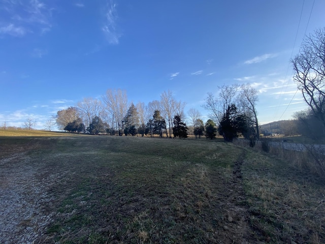 1551 Buck Smith Rd, Palmyra, TN 37142