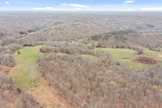 1551 Buck Smith Rd, Palmyra, TN 37142