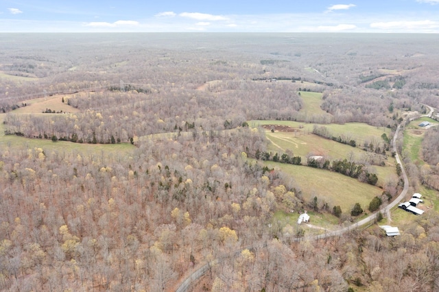 1551 Buck Smith Rd, Palmyra, TN 37142