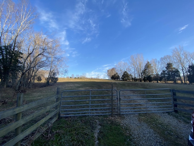 1551 Buck Smith Rd, Palmyra, TN 37142