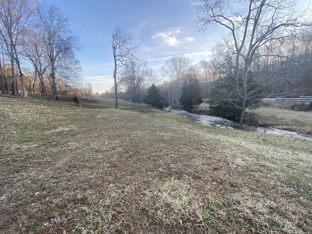 1551 Buck Smith Rd, Palmyra, TN 37142