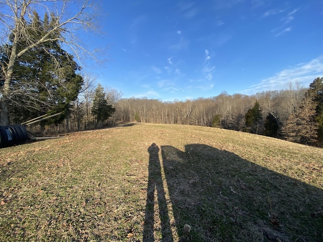 1551 Buck Smith Rd, Palmyra, TN 37142
