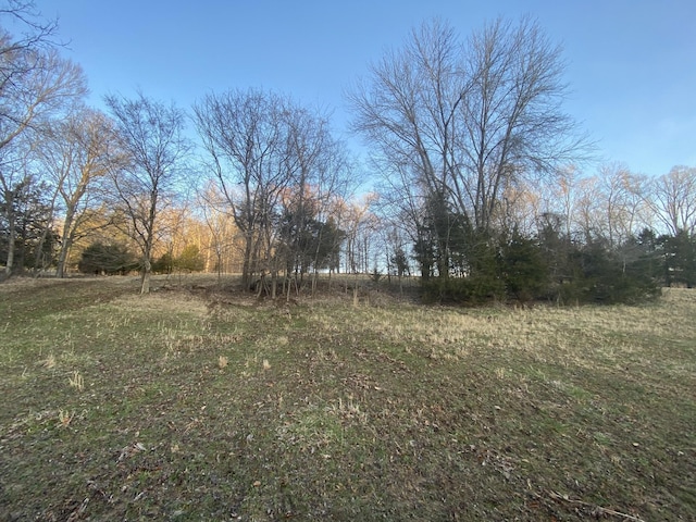 1551 Buck Smith Rd, Palmyra, TN 37142