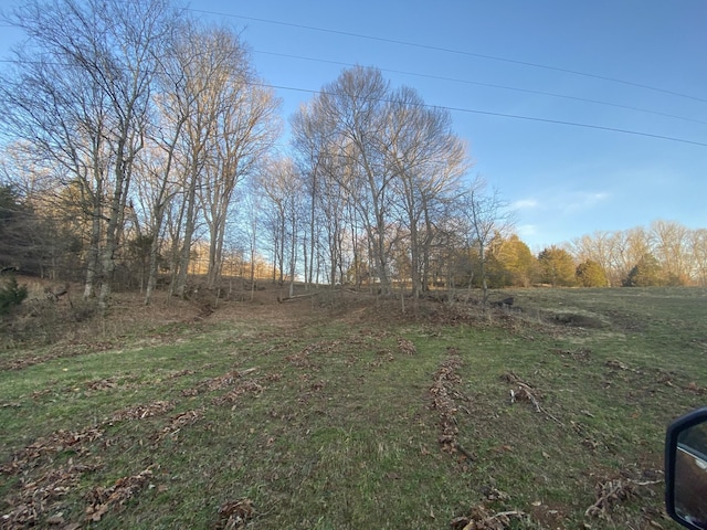 1551 Buck Smith Rd, Palmyra, TN 37142