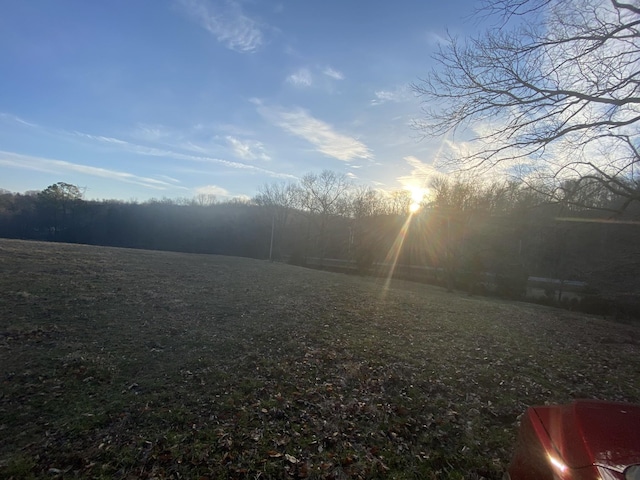 1551 Buck Smith Rd, Palmyra, TN 37142
