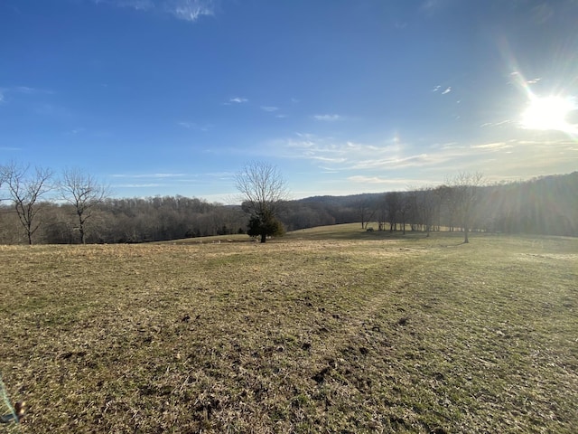 1551 Buck Smith Rd, Palmyra, TN 37142